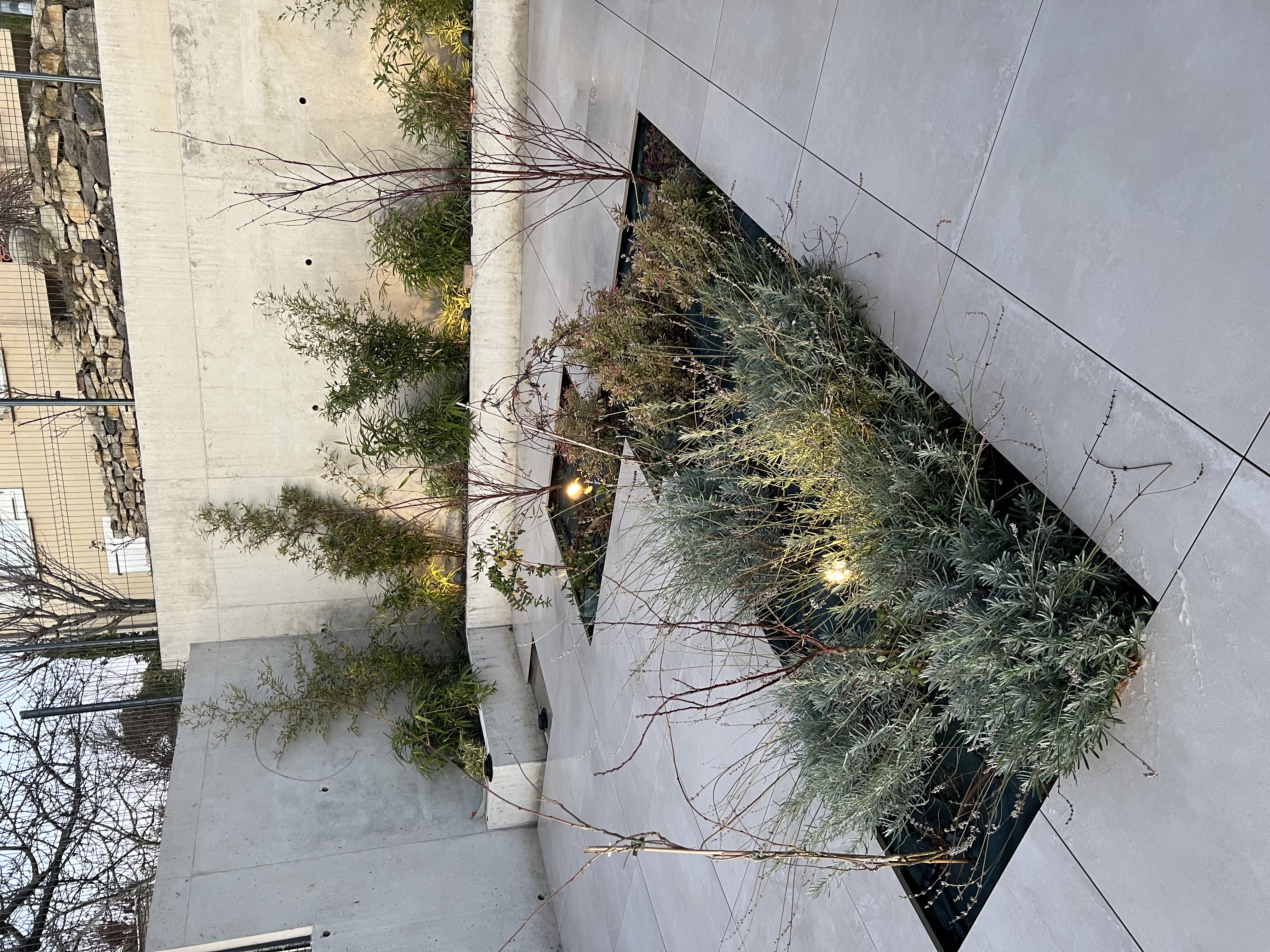 Aménagement extérieur 8